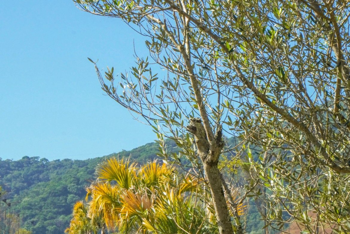Terreno para Residência no Colinas de Camboriú Village em Camboriú(SC) | EMBRALOT