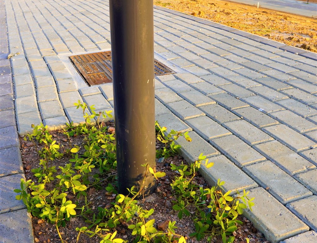 Terreno para Residência no Colinas de Camboriú Village em Camboriú(SC) | EMBRALOT