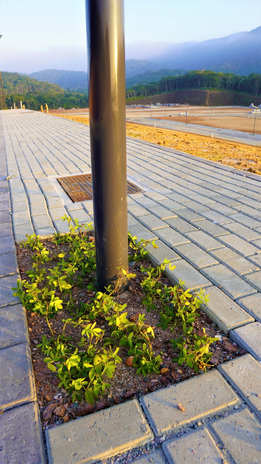 aplat-embralot-colinas-rua-30 Terreno para Residência no Colinas de Camboriú Village em Camboriú(SC) | EMBRALOT